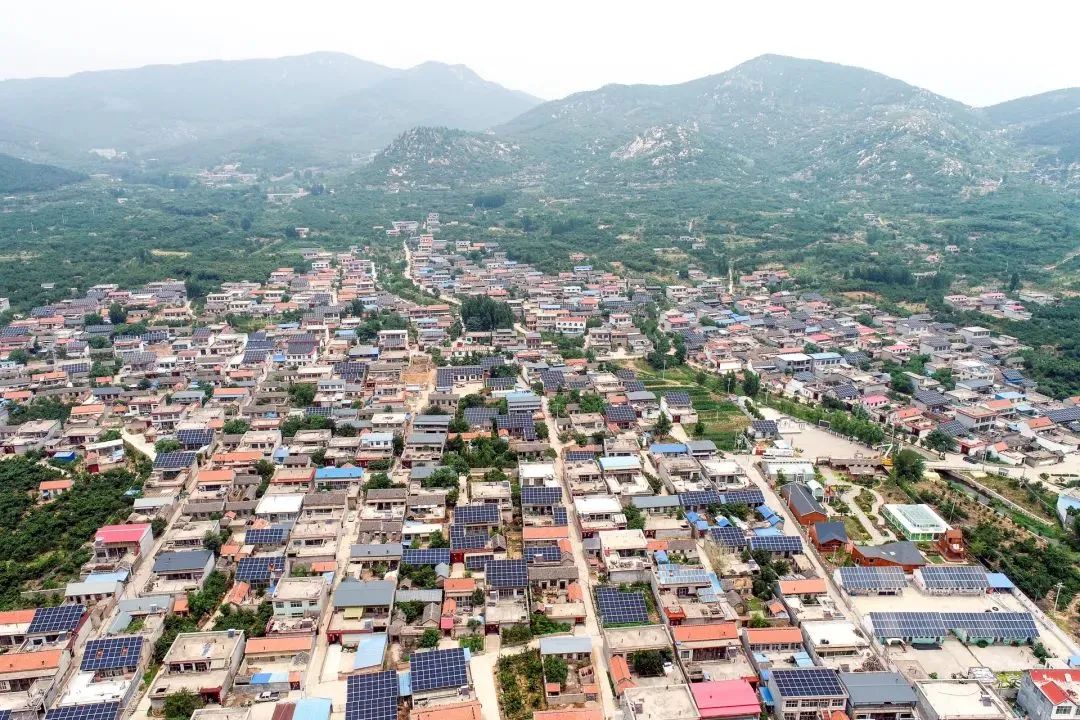 1689932344228088.jpg 3.jpg